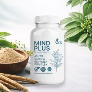 MindPlus